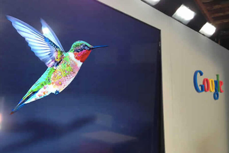 Google hummingbird